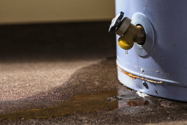 Best Flooded house restoration  in North Grosvenor Dale, CT